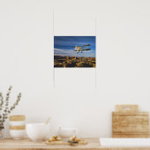 Waco Over Moab Poster (Keuken)