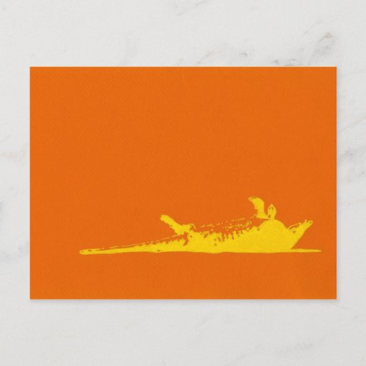 WAD KILL ARMADILLO BRIEFKAART (Voorkant)