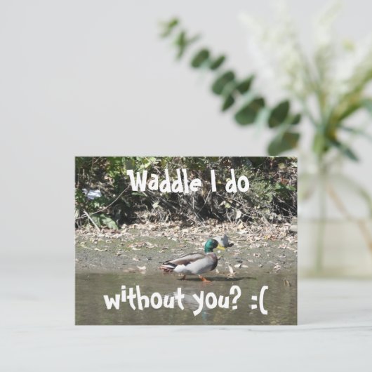 Waddle dat ik doe, zonder jou? :( briefkaart (Staand voorkant)