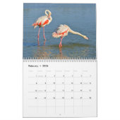 Waders Kalender 2025 (Feb 2026)