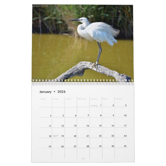 Waders Kalender 2025 (Jan 2026)