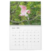 Wading Birds Calendar Kalender (Mar 2026)