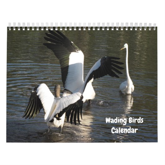 Wading Birds Calendar Kalender (Hoes)