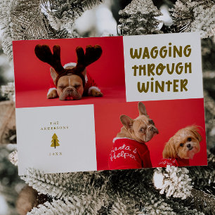 Wagging Door Winter Cream Pet Foto Feestdagenkaart