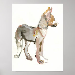 Waggle Poster
