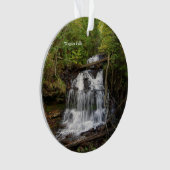 Wagner Falls ornement acrylique (devant)