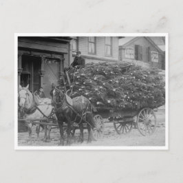 Wagonlading kerstbomen briefkaart