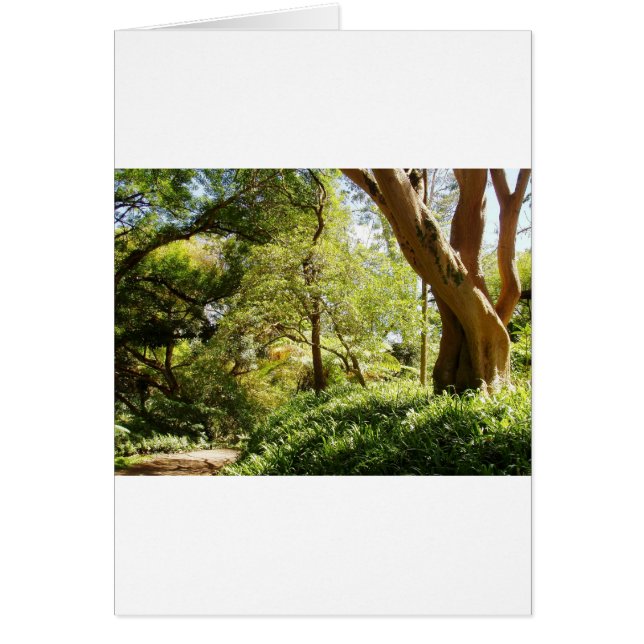 Wahiawa botanische tuin (Voorkant)