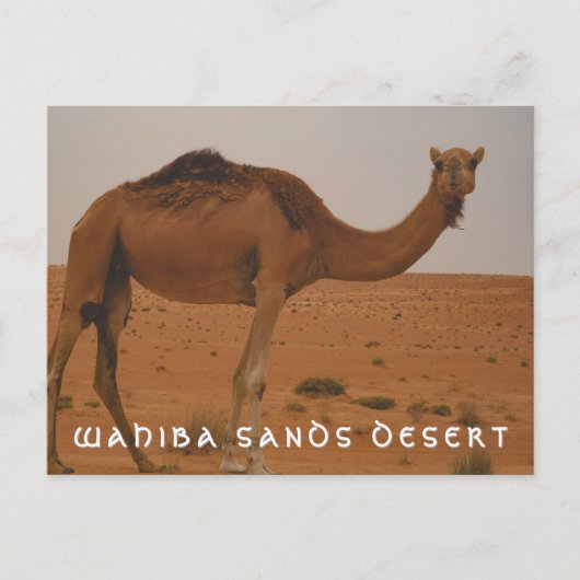 Wahiba Sands Desert briefkaart (Voorkant)
