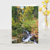 Wahkeena-Herfsten, Columbia River Gorge, Oregon Kaart (Gele Bloem)