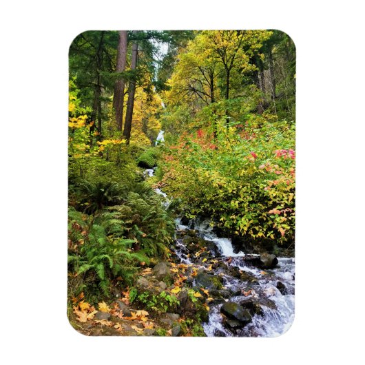 Wahkeena-Herfsten, Columbia River Gorge, Oregon Magneet (Verticaal)