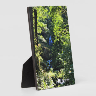 Wahkeena-Herfsten, OF Fotoplaat