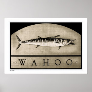 Wahoo B&W-Posters, -Prints en -Lijsten Poster