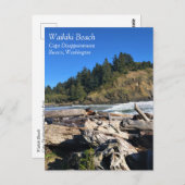 Waikiki Beach, Cape Diseption, Washington Briefkaart (Voorkant / Achterkant)