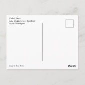 Waikiki Beach, Cape Diseption, Washington Briefkaart (Achterkant)