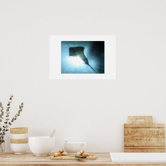 Waikiki Stingray Poster (Keuken)