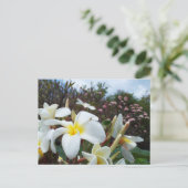 Waikoloa Plumerias Briefkaart 1 (Staand voorkant)