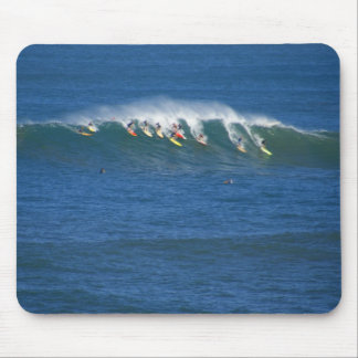 Waimea Bay Muismat