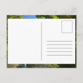 Wainhouse Tower Halifax briefkaart (Achterkant)