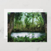 Waipio Valley Briefkaart (Voorkant / Achterkant)