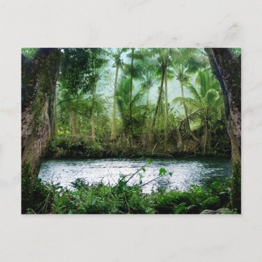 Waipio Valley Briefkaart (Voorkant)