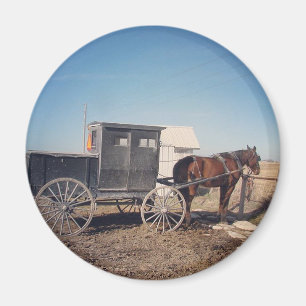 Waiting Amish Horse and Buggy Magneet