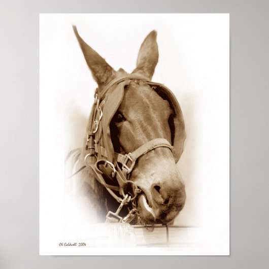 Waitin's werk poster (Voorkant)