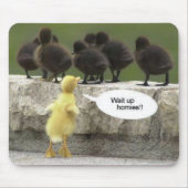 waituphoma muismat (Voorkant)