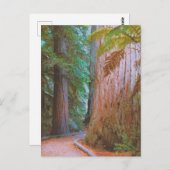 Wakawakareva Forest Briefkaart (Voorkant / Achterkant)