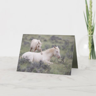 Wake Up Brother Wild Horse Wenskaart Kaart