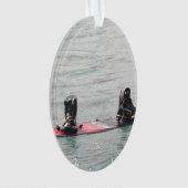 Wakeboarder (devant)