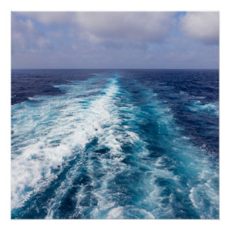 Wakker cruiseschip perfect poster