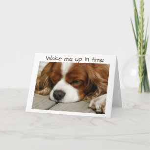 "WAKKER OP TIJD" VERJAARDAG GROET KAART