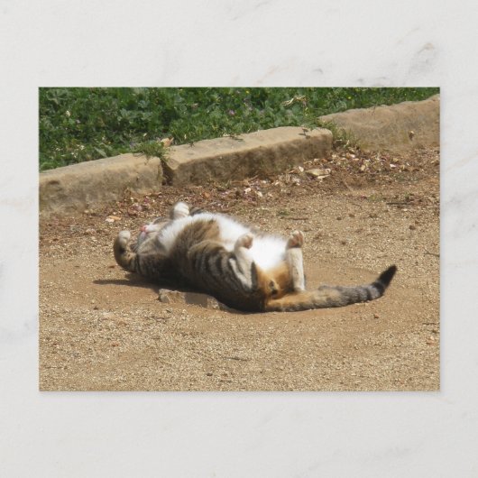 Wakker worden briefkaart (Voorkant)