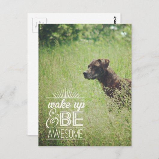 Wakker worden en Geweldige hond zijn Briefkaart (Voorkant / Achterkant)