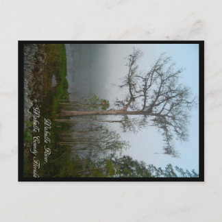 Wakulla County Florida Briefkaart