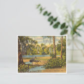  Wakulla Springs Florida Briefkaart (Staand voorkant)