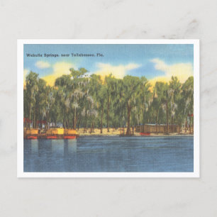 Wakulla Springs Florida Vintage met boten Briefkaart
