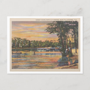 Wakulla Springs Florida  zonsondergang op het wate Briefkaart