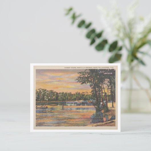 Wakulla Springs Florida zonsondergang op het wate Briefkaart (Staand voorkant)