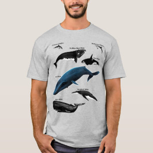 WALDAGEN T-SHIRT