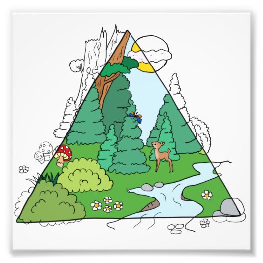 Waldbild Foto Afdruk (Voorkant)