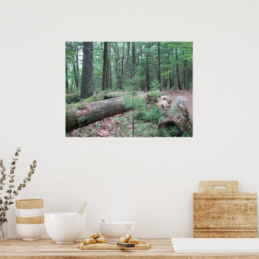 Walden Forest Poster (Keuken)
