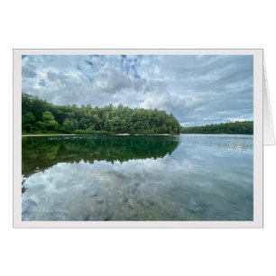 Walden Pond: Bluebird draagt de hemel op zijn rug.