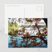 Walden Pond door Autumn Leaves Briefkaart (Voorkant / Achterkant)