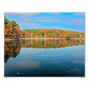 Walden Pond foto afdrukken Afdruk