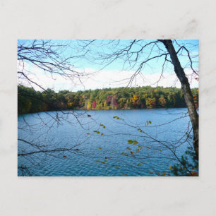 Walden Pond in de Herfst Briefkaart