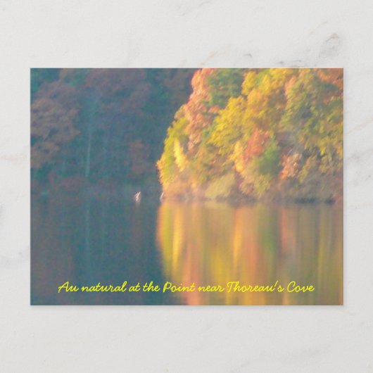 Walden Pond-kaart Briefkaart (Voorkant)