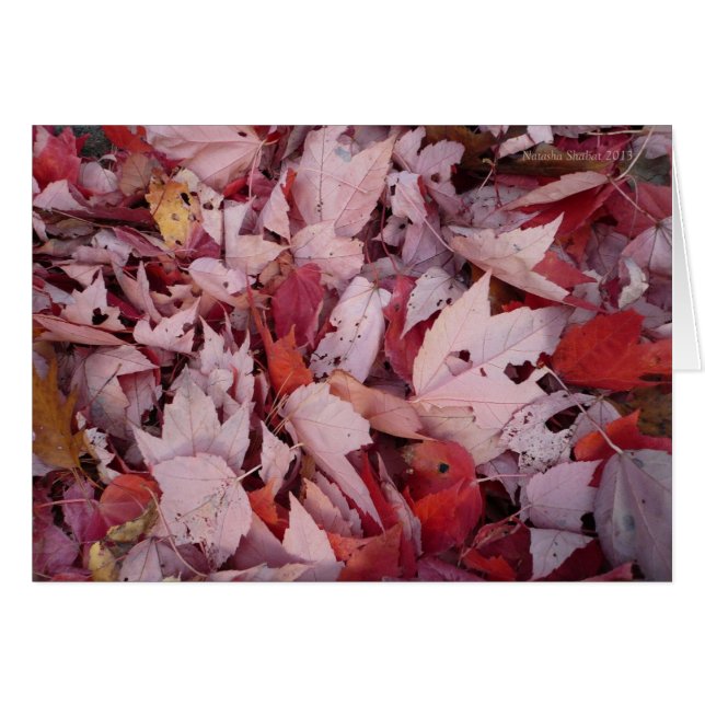 Walden Pond Leaves (Voorkant Horizontaal)