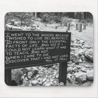 Walden Pond muismat